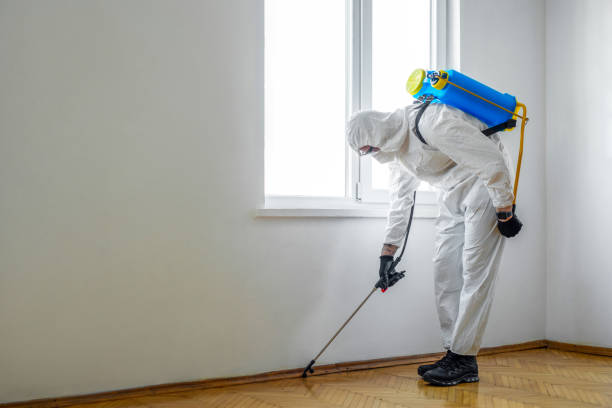 Best Commercial Pest Control Services  in Youngstown, NY