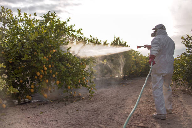 Best Emergency Pest Control  in Youngstown, NY