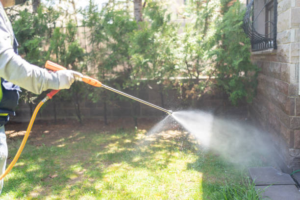 Best Termite Control Services  in Youngstown, NY