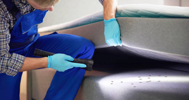Best Rat Extermination Near Me  in Youngstown, NY