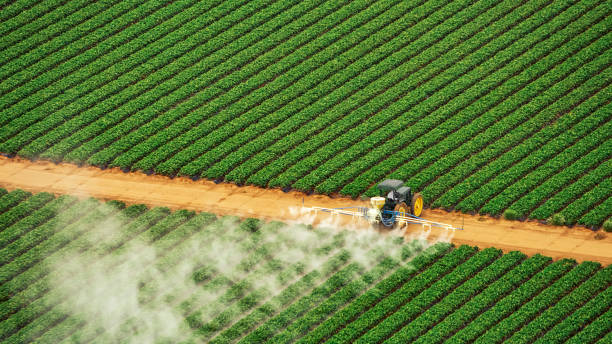 Best Pest Removal Services  in Youngstown, NY