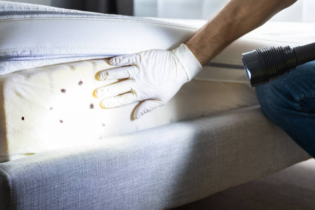 Best Pest Inspection Near Me  in Youngstown, NY