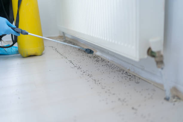 Reliable Youngstown, NY Pest Control Solutions